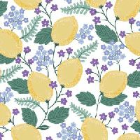 dsStella-D3594 White